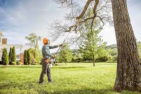 Leaf Removal in Manchester, WA